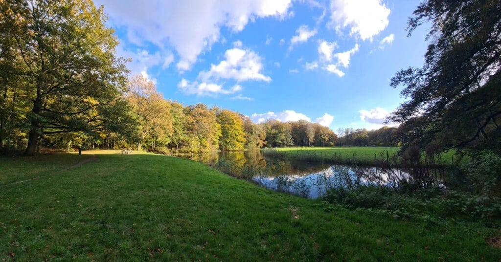 landschap in het najaar of voorjaar fietsen Hoegen Fietsverhuur